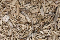 biomass boilers Beoraidbeg